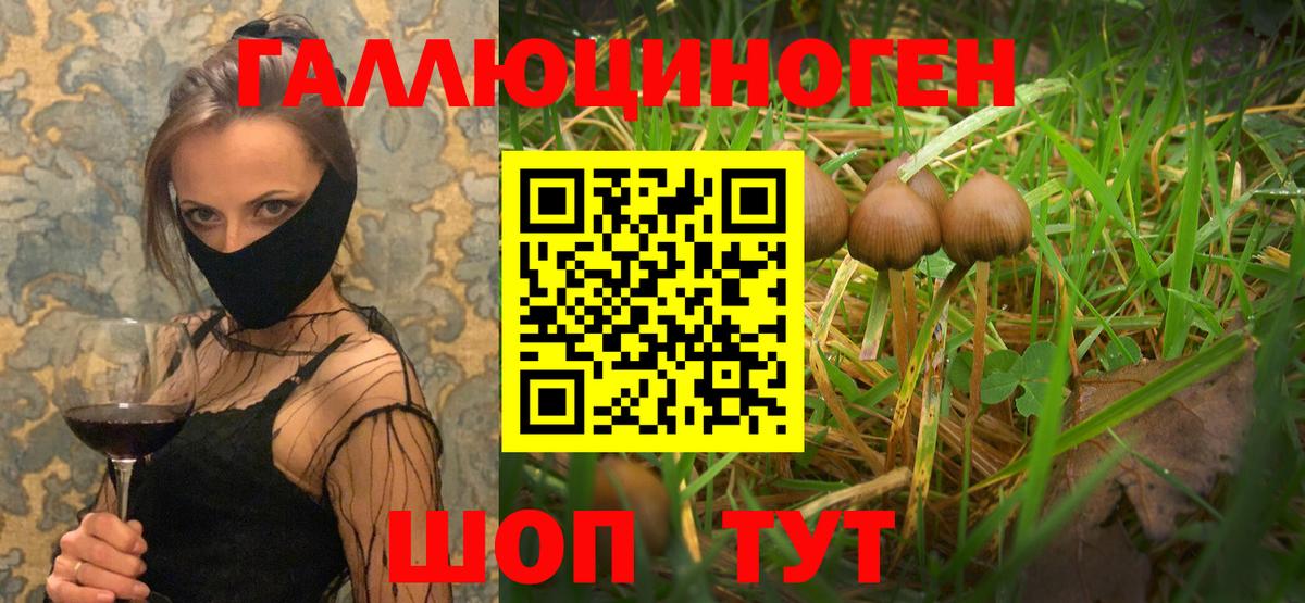 Псилоцибиновые грибы прущие грибы  Псилоцибиновые грибы MAGIC MUSHROOMS  Вход с VPN  Павловский Посад 