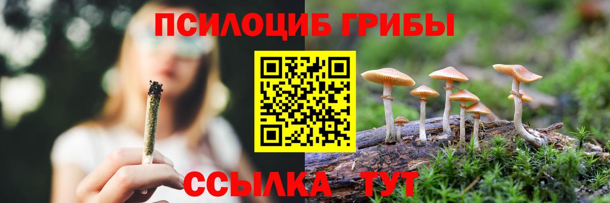 Псилоцибиновые грибы Magic Shrooms Павловский Посад
